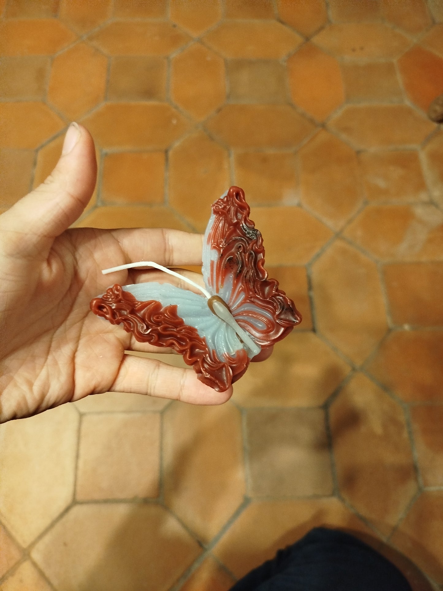 Vela mariposa 🦋